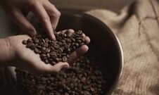 Ученые определили точный возраст кофе сорта арабика