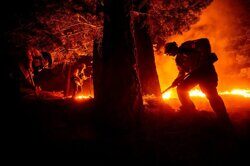 Леса западного побережья США могут никогда не восстановиться после пожаров